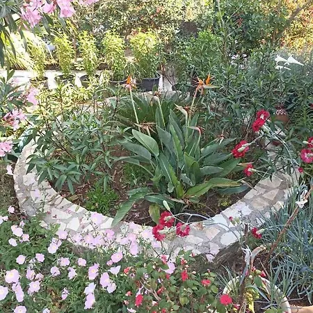 Appartamento Palm-tree *