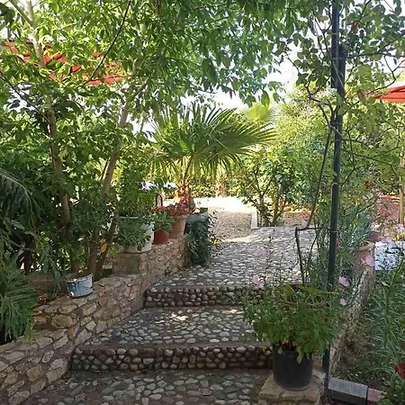 Palm-tree Arkoudi