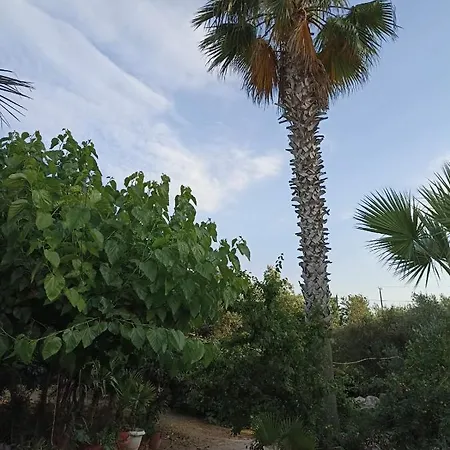 Lägenhet Palm-tree *