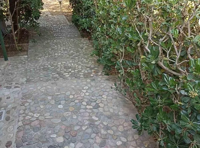 Palm-tree Appartamento