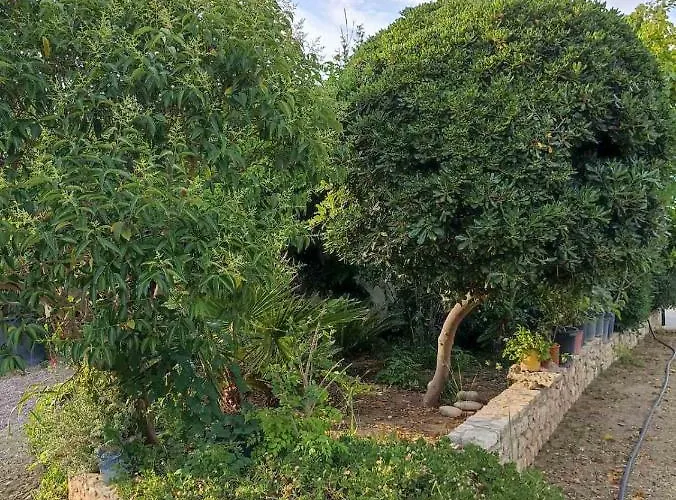 Palm-tree Apartment *