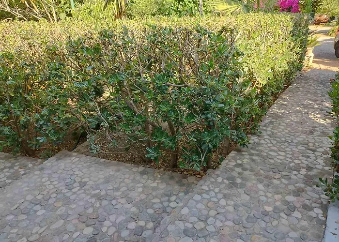 Palm-tree Appartamento *